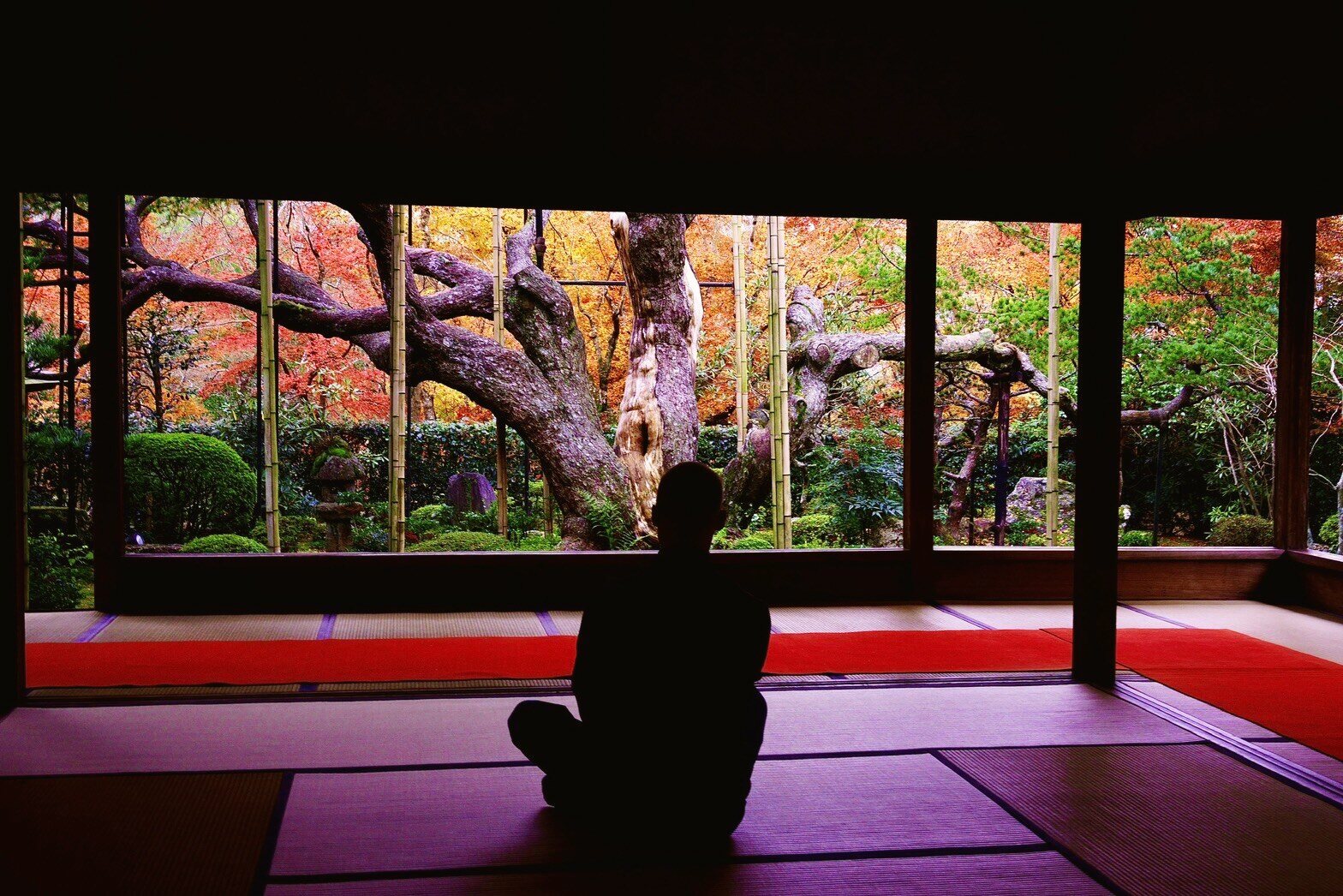 Temple veranda overlooking autumn maple garden