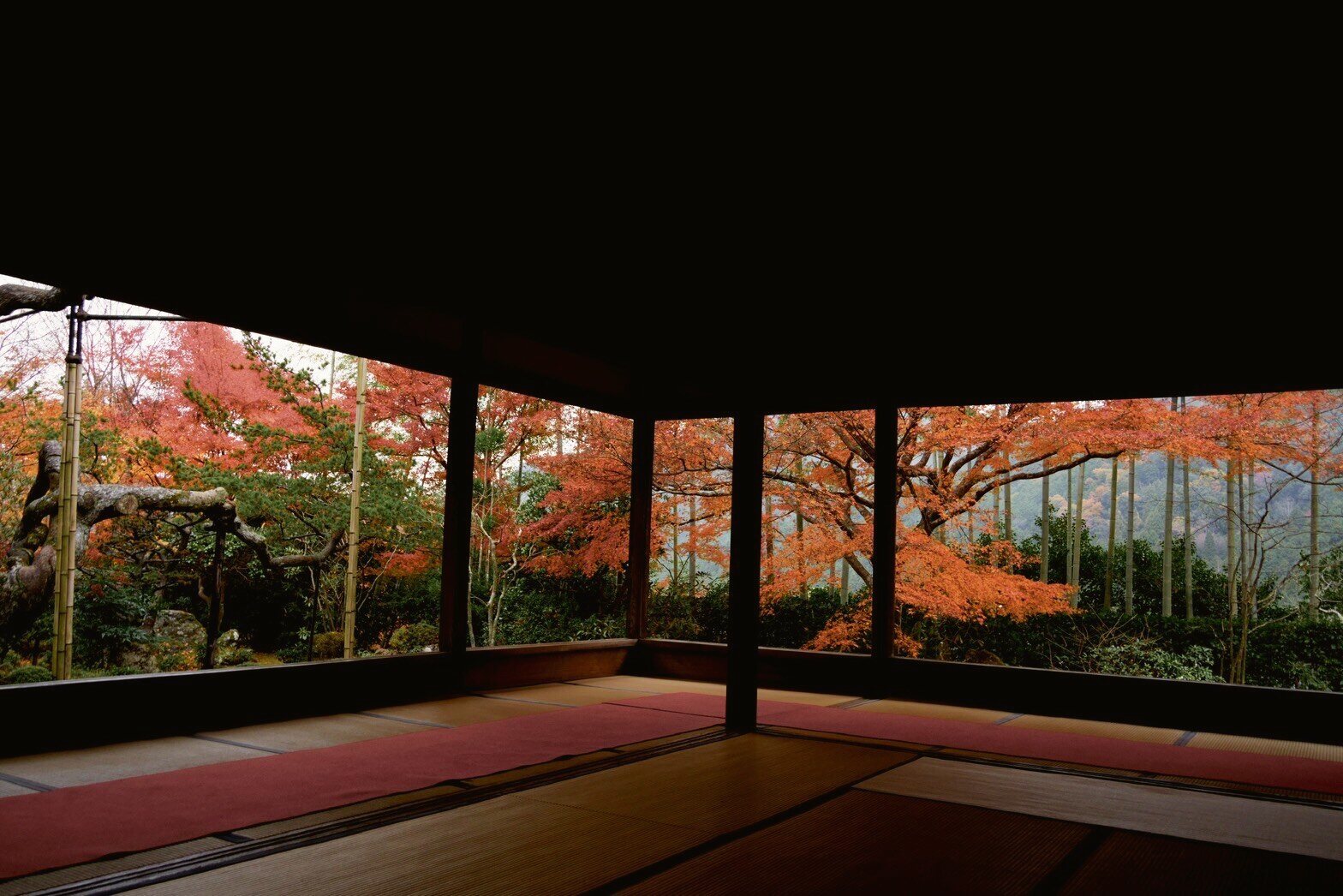 A quiet temple hall in Japan